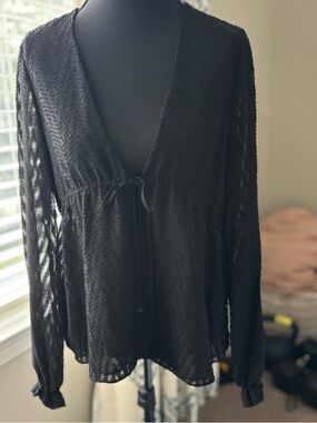 Zara Black Textured Sheer Top